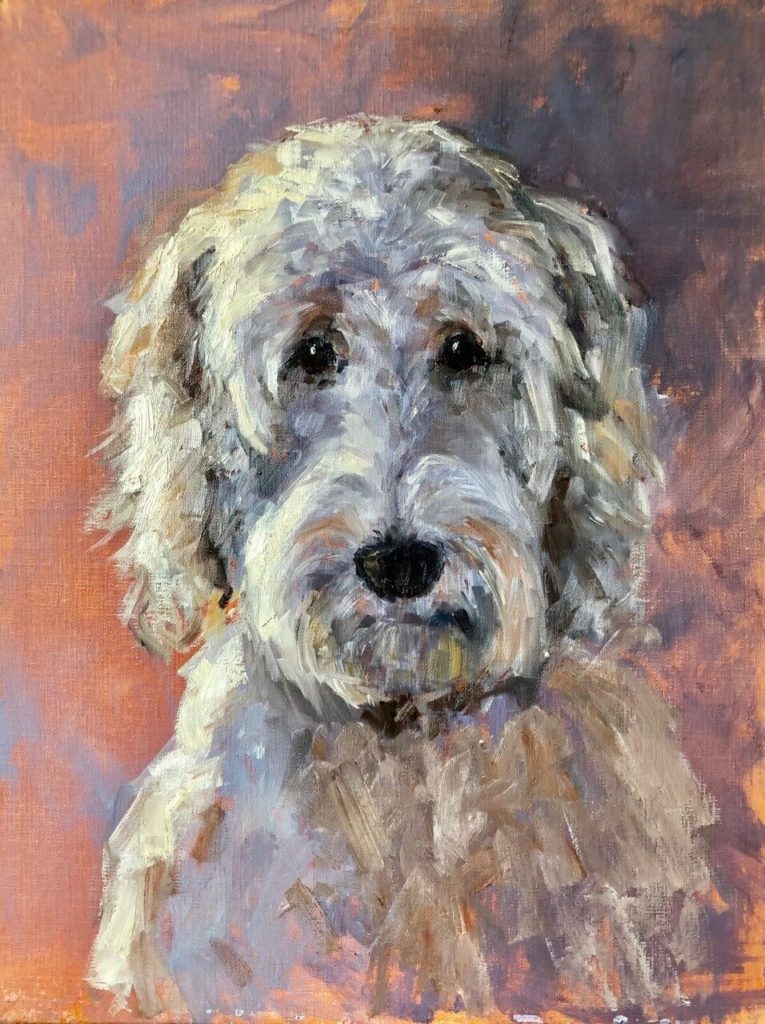Glenda-grey-and-brown-Lab-a-doodle-on-copper